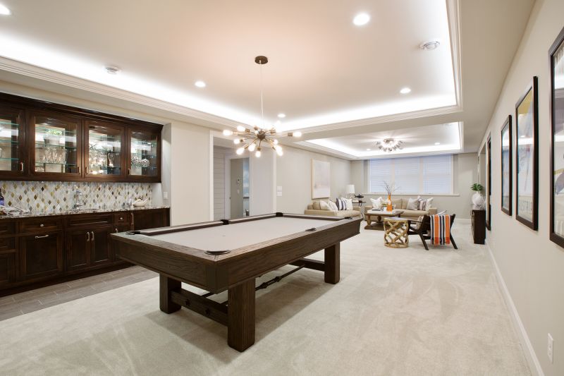 Modern Basement Living Room